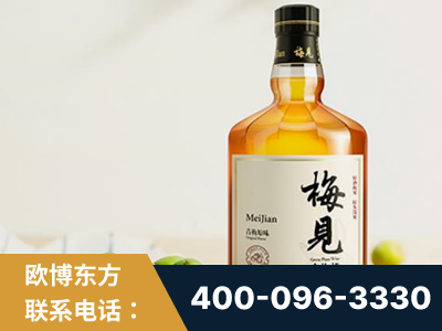 吴忠-梅见青梅酒
